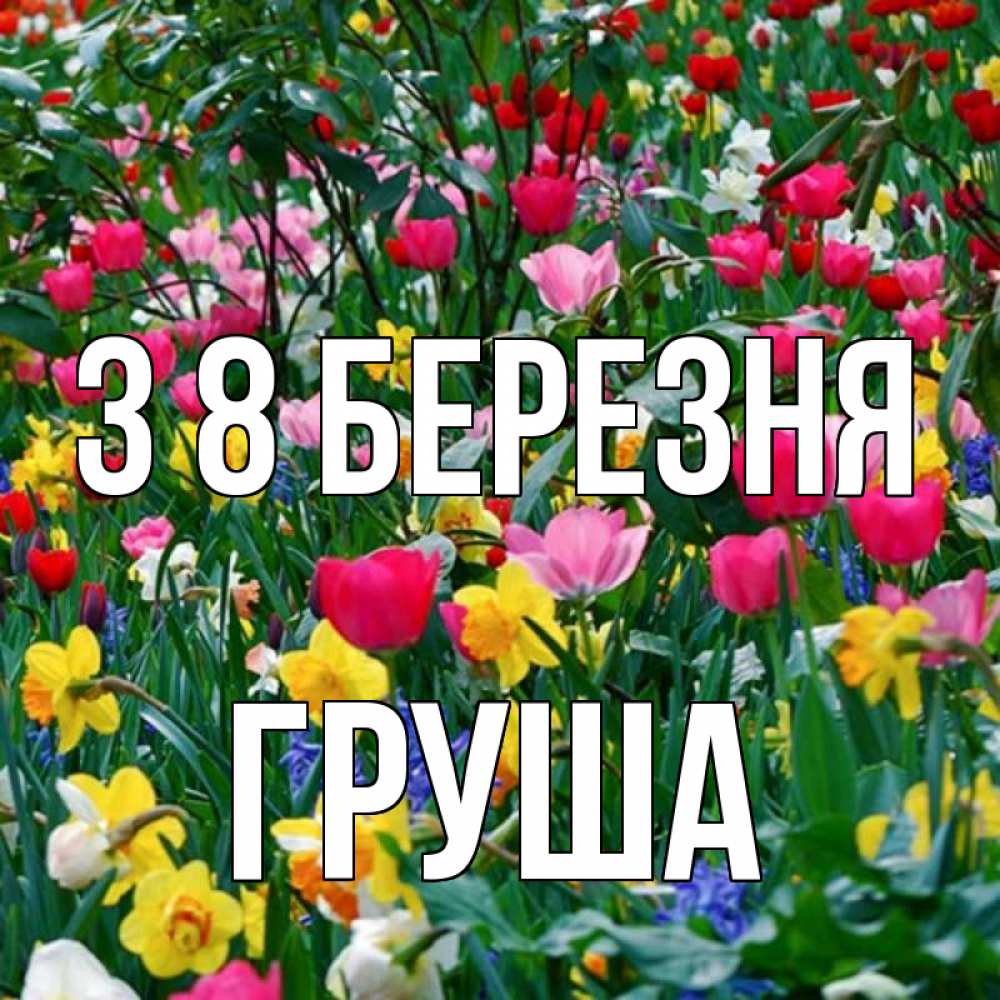 Открытка на каждый день з підписом, Груша З 8 БЕРЕЗНЯ с международным женским днем поздравления для женщины Прикольна листівка з побажанням онлайн скачати безкоштовно 