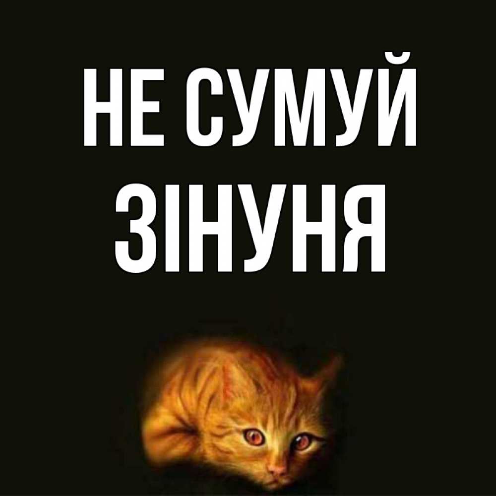 Открытка на каждый день з підписом, Зінуня Не сумуй лежащий кот в темноте Прикольна листівка з побажанням онлайн скачати безкоштовно 
