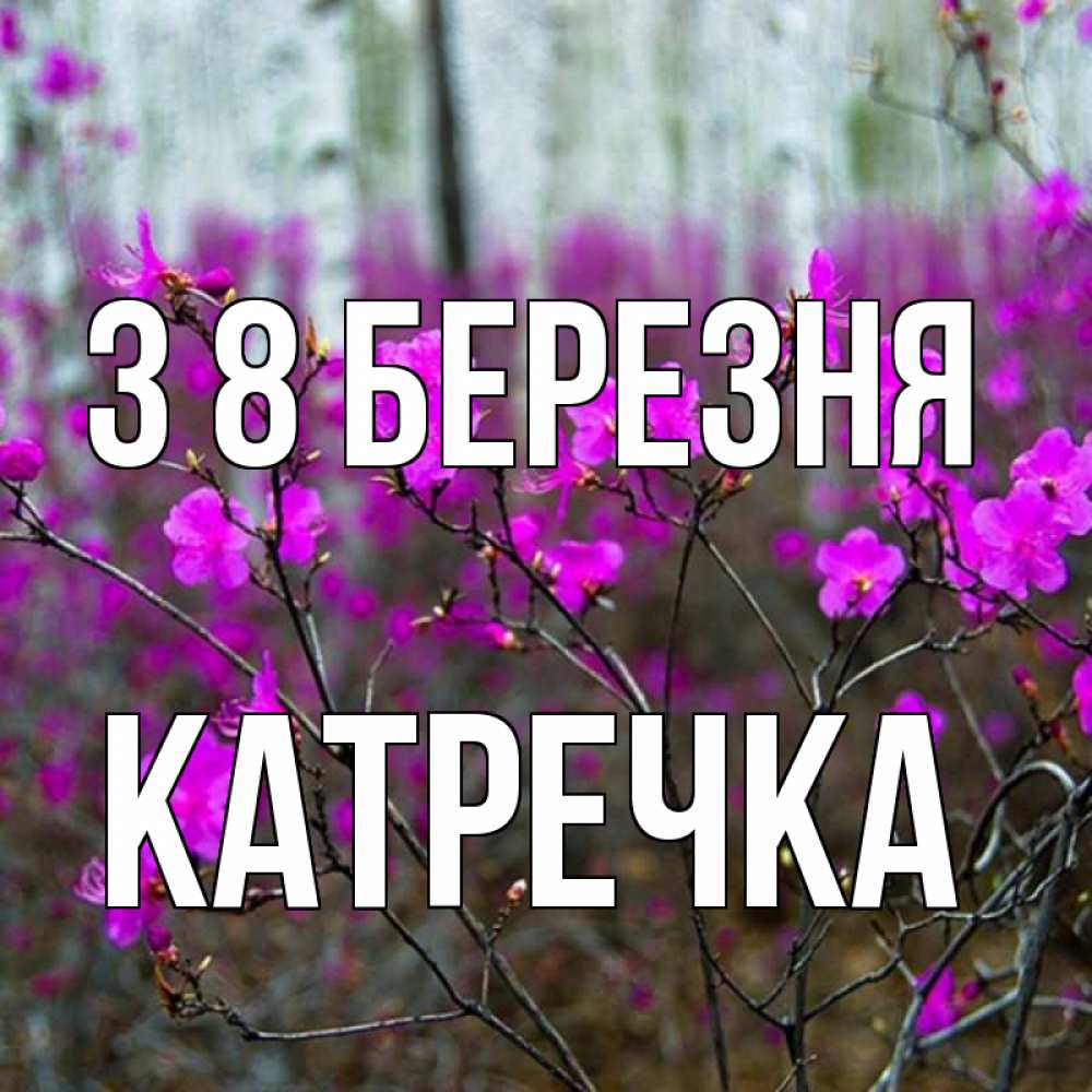 Открытка на каждый день з підписом, Катречка З 8 БЕРЕЗНЯ дикие цветы Прикольна листівка з побажанням онлайн скачати безкоштовно 
