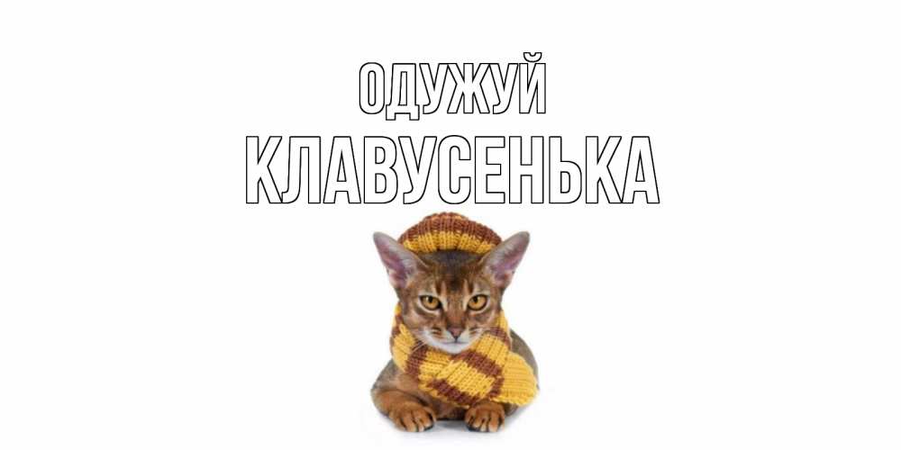 Открытка на каждый день з підписом, Клавусенька Одужуй родные не болейте Прикольна листівка з побажанням онлайн скачати безкоштовно 