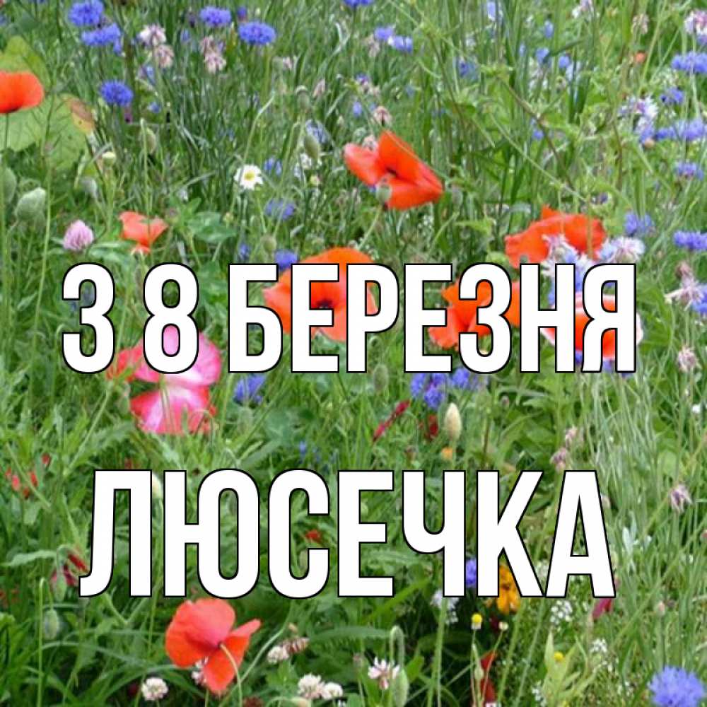 Открытка на каждый день з підписом, Люсечка З 8 БЕРЕЗНЯ международный женский день 4 Прикольна листівка з побажанням онлайн скачати безкоштовно 