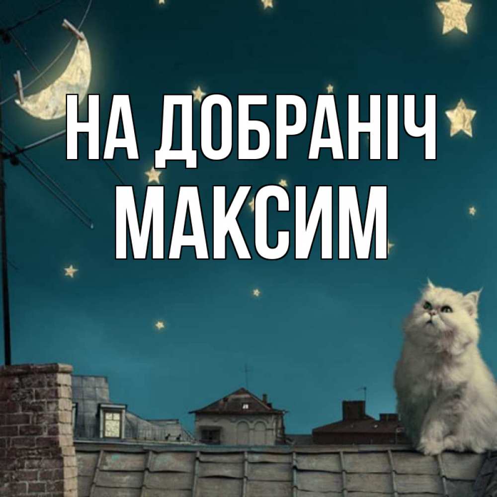 Открытка на каждый день з підписом, Максим На добраніч белый кот сидит на крыше Прикольна листівка з побажанням онлайн скачати безкоштовно 
