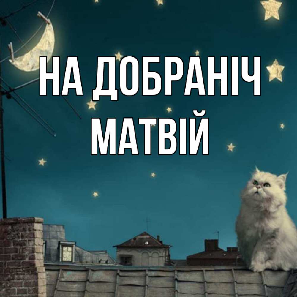 Открытка на каждый день з підписом, Матвій На добраніч белый кот сидит на крыше Прикольна листівка з побажанням онлайн скачати безкоштовно 