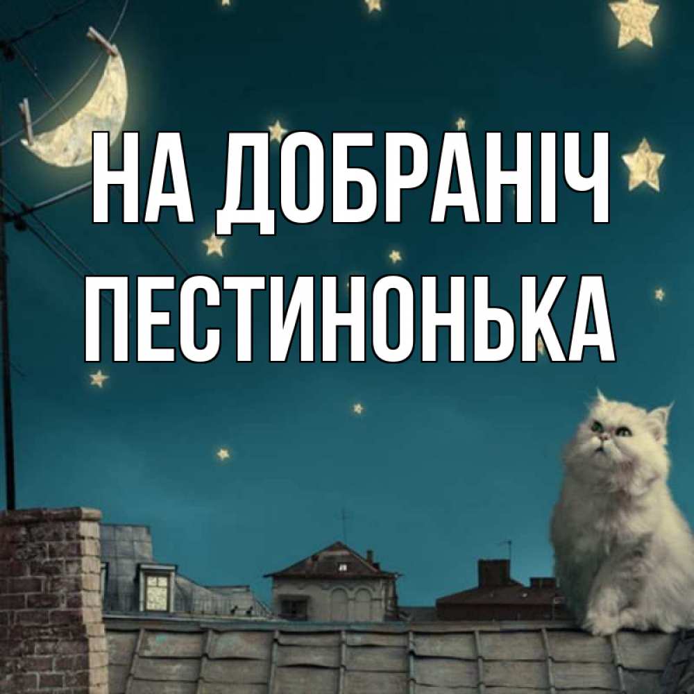 Открытка на каждый день з підписом, Пестинонька На добраніч белый кот сидит на крыше Прикольна листівка з побажанням онлайн скачати безкоштовно 