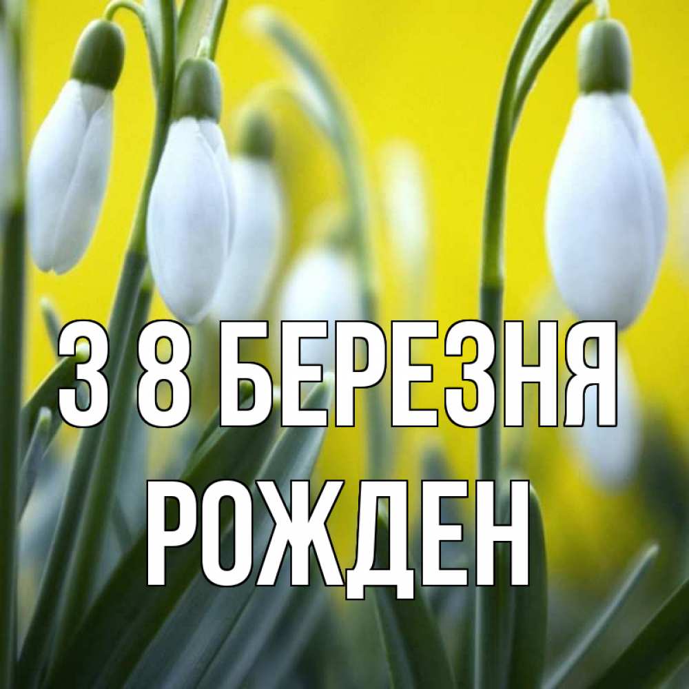 Открытка на каждый день з підписом, Рожден З 8 БЕРЕЗНЯ весенние цветы Прикольна листівка з побажанням онлайн скачати безкоштовно 