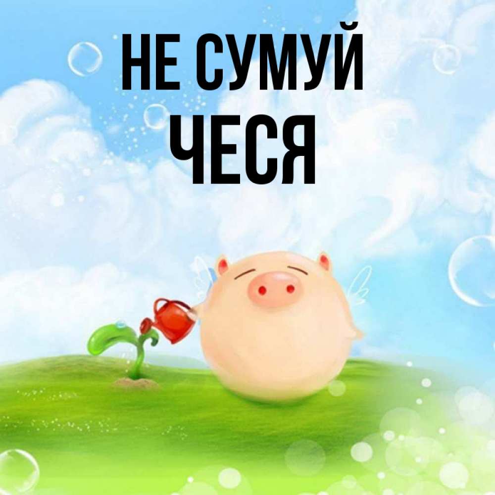 Открытка на каждый день з підписом, Чеся Не сумуй поливает цветок порося Прикольна листівка з побажанням онлайн скачати безкоштовно 
