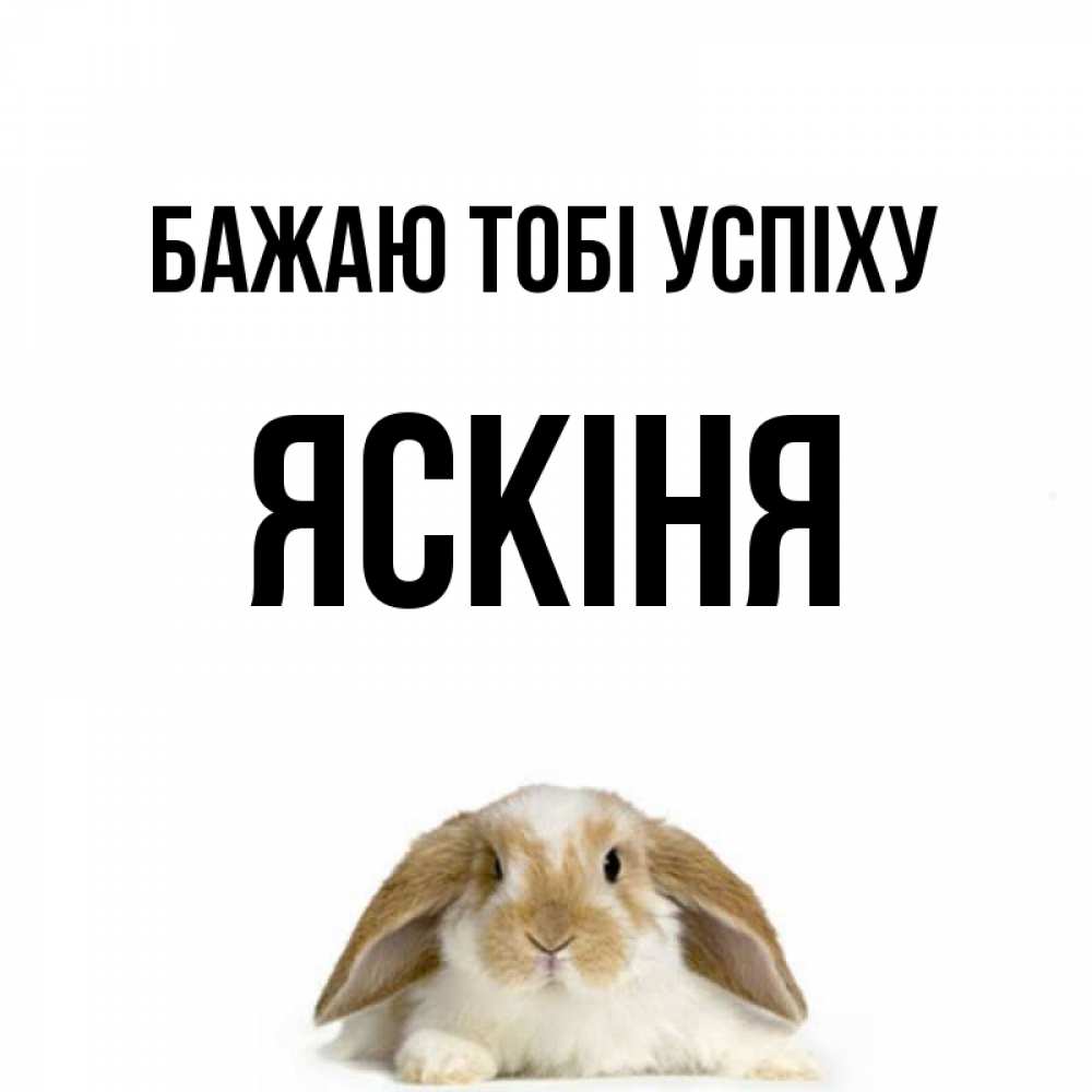 Открытка на каждый день з підписом, Яскіня Бажаю тобі успіху открытки с произвольным текстом который можно вставить в открытку и создать ее самостоятельно бесплатно онлайн Прикольна листівка з побажанням онлайн скачати безкоштовно 