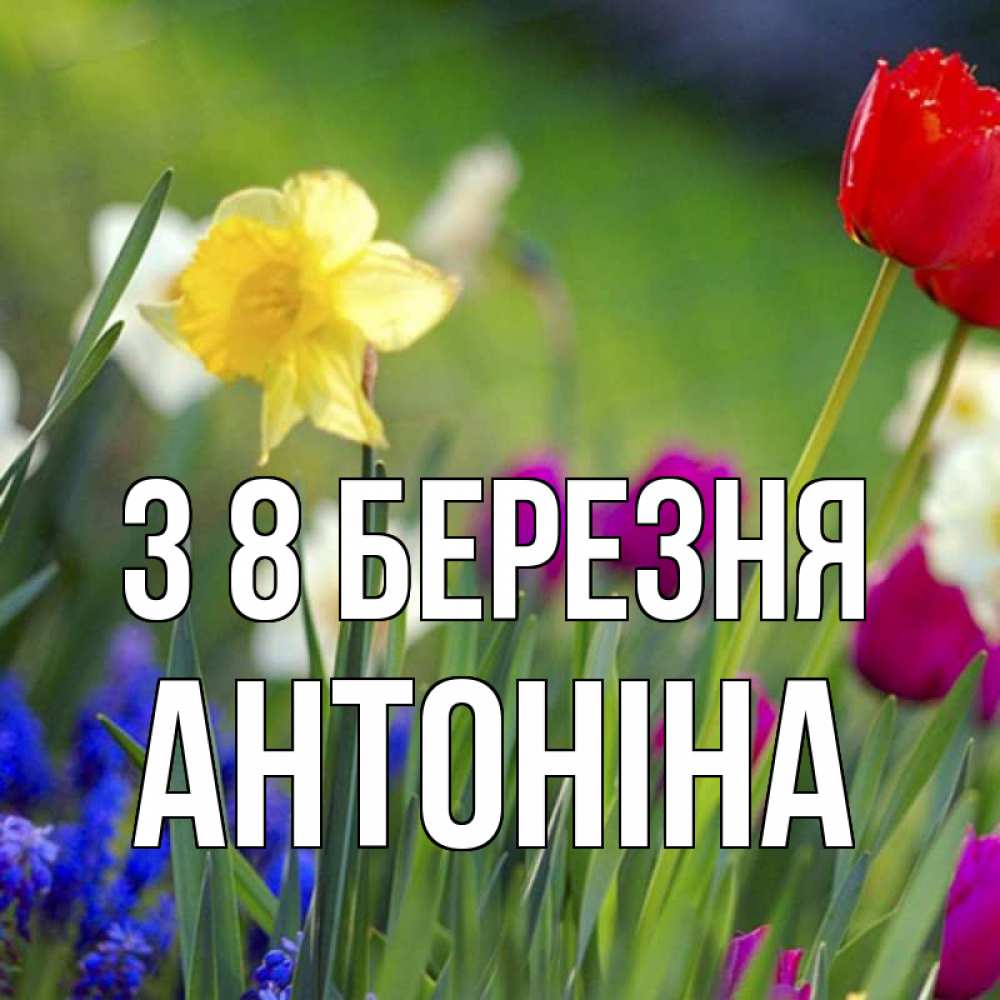 Открытка на каждый день з підписом, Антоніна З 8 БЕРЕЗНЯ международный женский день 3 Прикольна листівка з побажанням онлайн скачати безкоштовно 