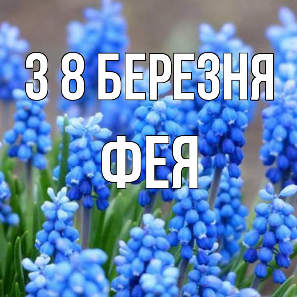 Открытка на каждый день з підписом, Фея З 8 БЕРЕЗНЯ Поздравительная открытка для женщин с цветами на праздничную дату Прикольна листівка з побажанням онлайн скачати безкоштовно 