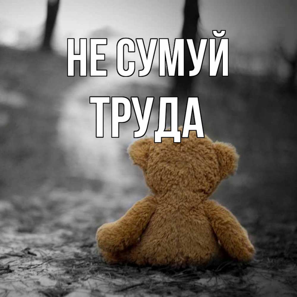 Открытка на каждый день з підписом, Труда Не сумуй медведь со спин Прикольна листівка з побажанням онлайн скачати безкоштовно 