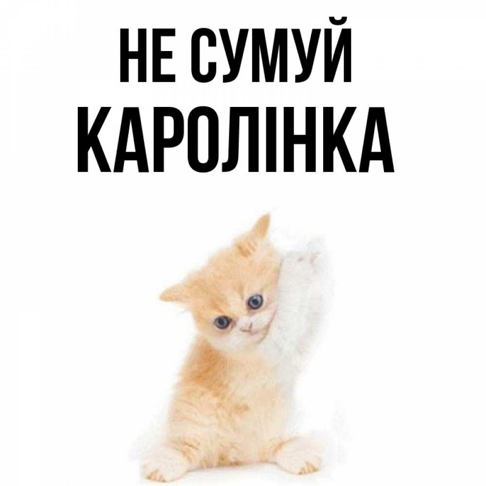 Открытка на каждый день з підписом, Каролінка Не сумуй просящий кот Прикольна листівка з побажанням онлайн скачати безкоштовно 