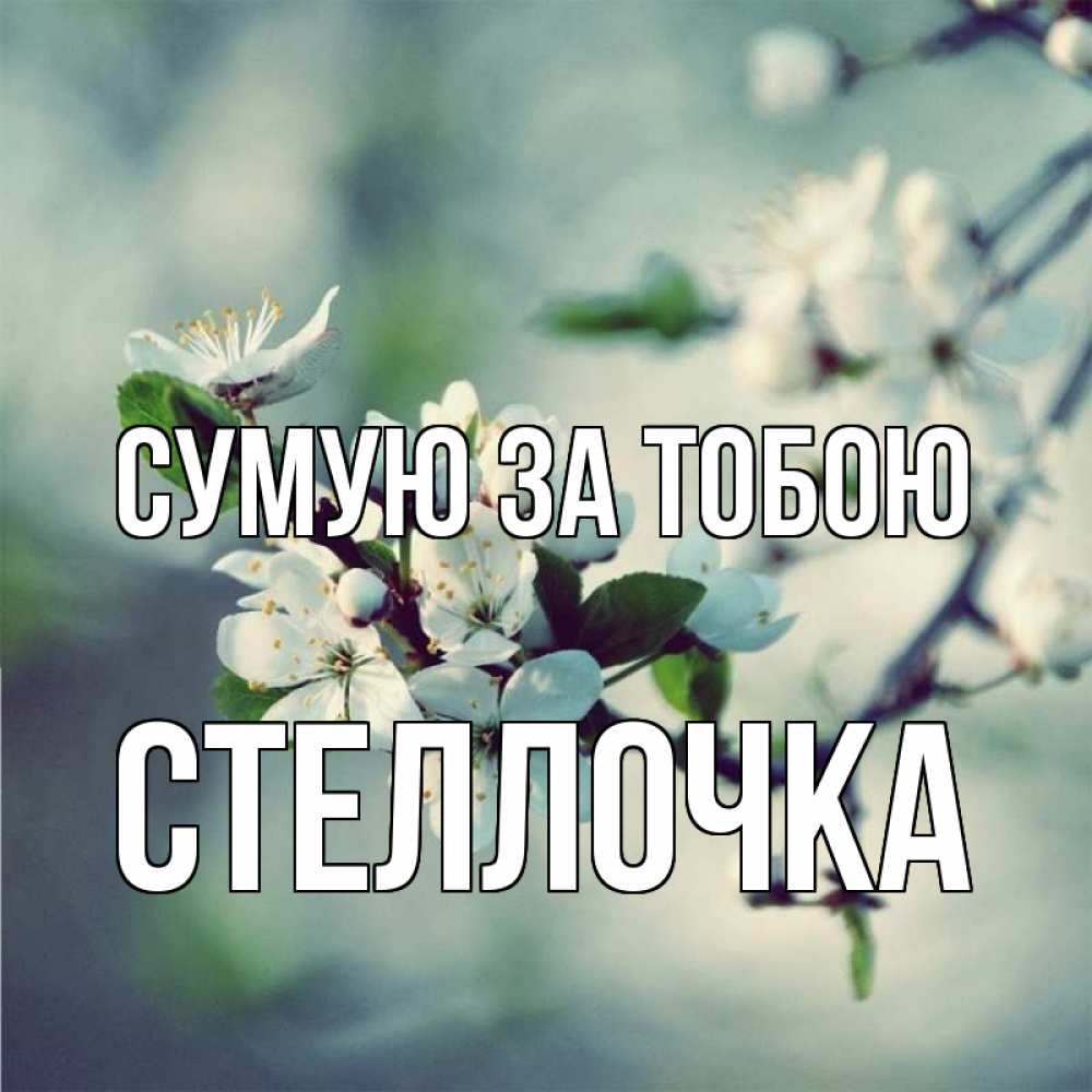 Открытка на каждый день з підписом, Стеллочка Сумую за тобою весна Прикольна листівка з побажанням онлайн скачати безкоштовно 
