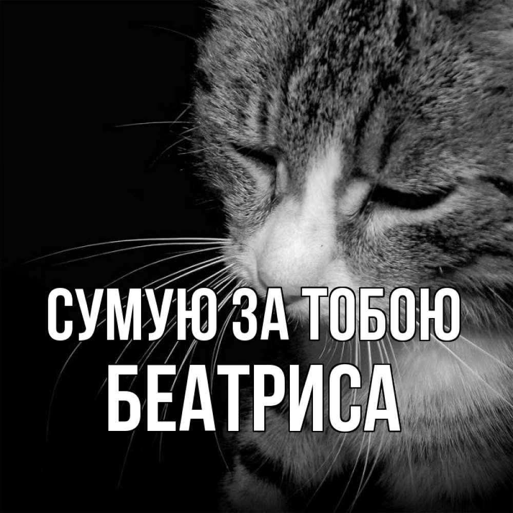 Открытка на каждый день з підписом, Беатриса Сумую за тобою мне скучно Прикольна листівка з побажанням онлайн скачати безкоштовно 