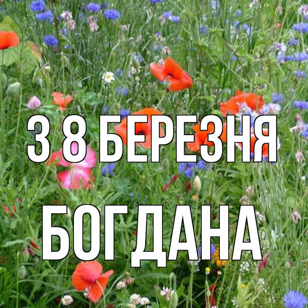 Открытка на каждый день з підписом, Богдана З 8 БЕРЕЗНЯ международный женский день 4 Прикольна листівка з побажанням онлайн скачати безкоштовно 
