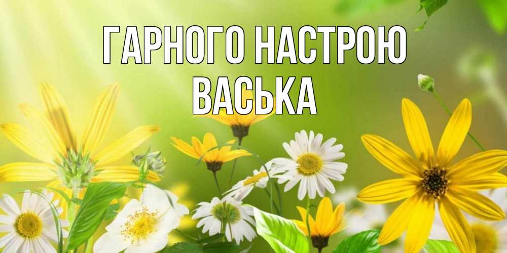 Открытка на каждый день з підписом, Васька Гарного настрою цветы Прикольна листівка з побажанням онлайн скачати безкоштовно 