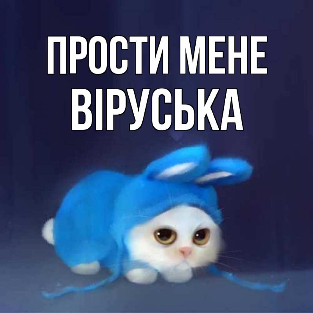 Открытка на каждый день з підписом, Віруська Прости мене невинный котозай просит прощения Прикольна листівка з побажанням онлайн скачати безкоштовно 