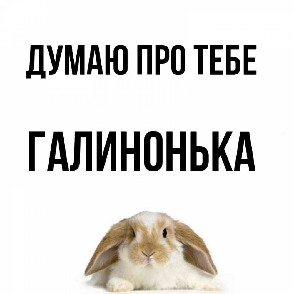 Открытка на каждый день з підписом, Галинонька Думаю про тебе подписать своими руками онлайн Прикольна листівка з побажанням онлайн скачати безкоштовно 