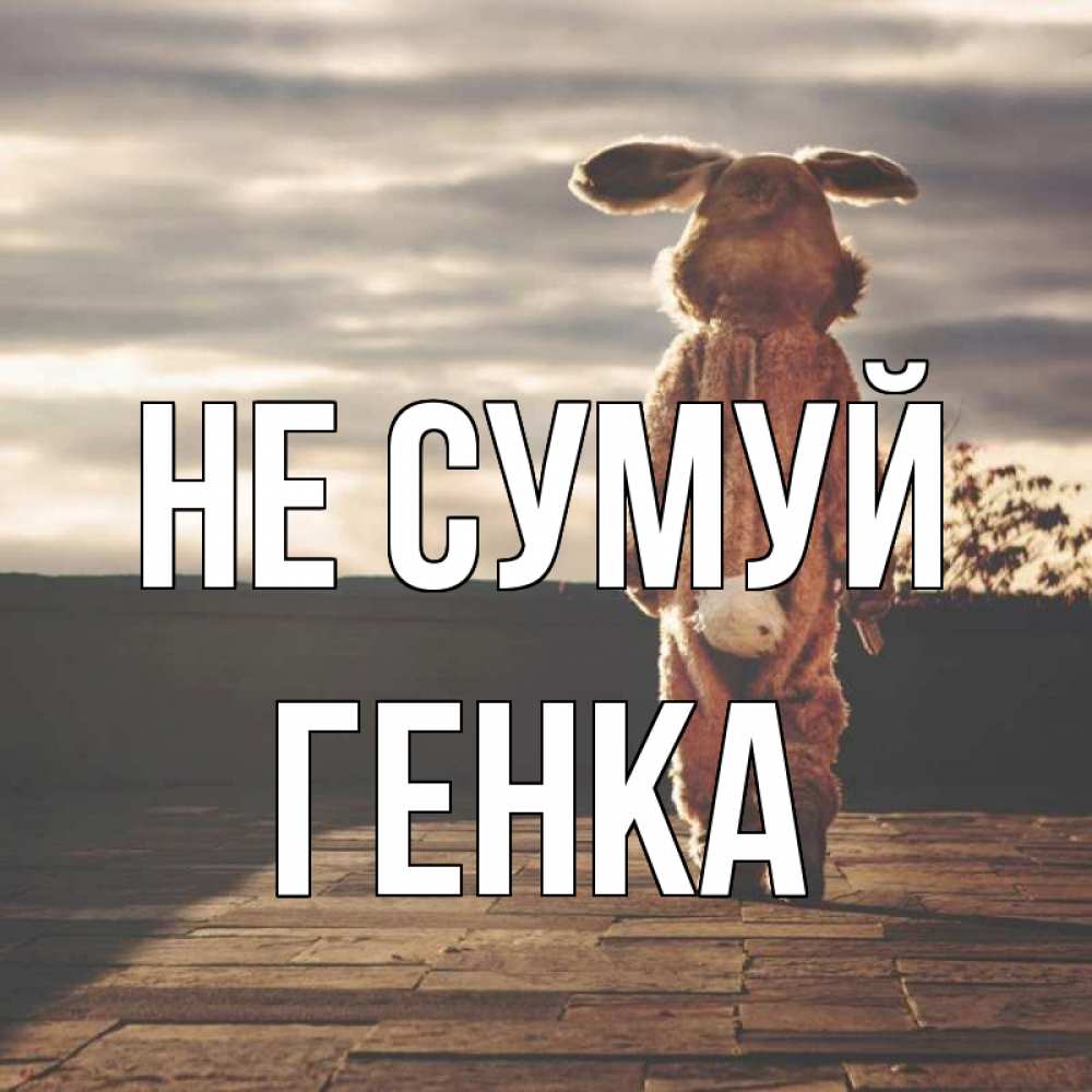 Открытка на каждый день з підписом, Генка Не сумуй со спины Прикольна листівка з побажанням онлайн скачати безкоштовно 