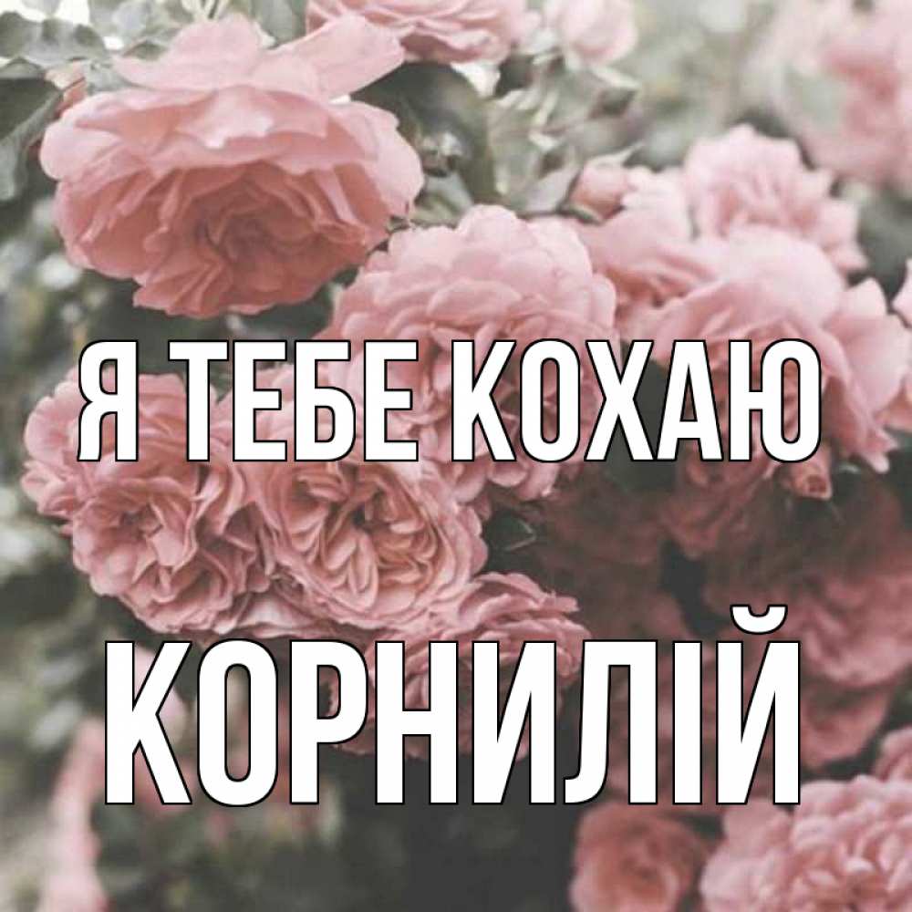 Открытка на каждый день з підписом, Корнилій Я тебе кохаю розы 3 Прикольна листівка з побажанням онлайн скачати безкоштовно 