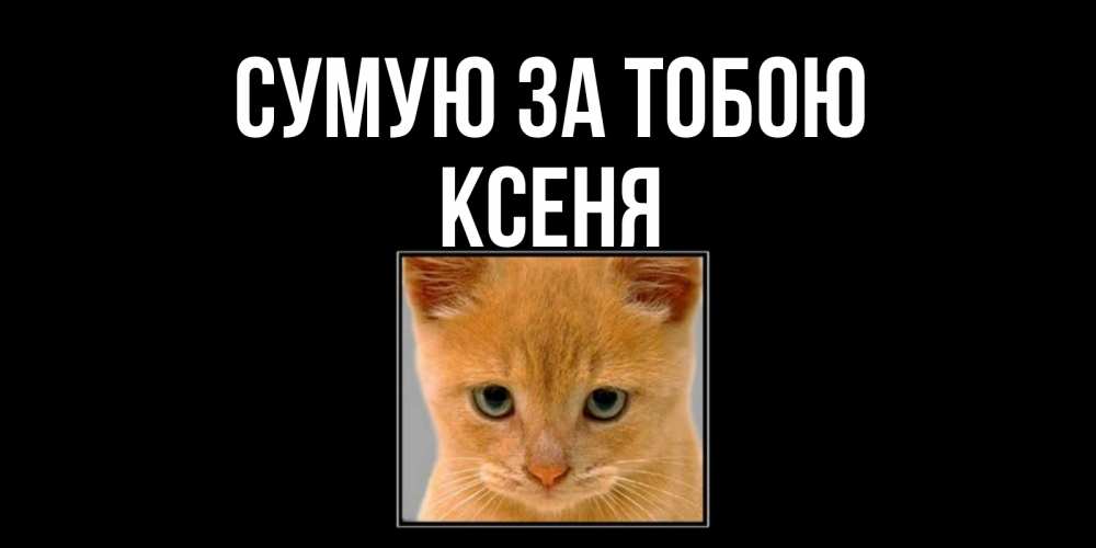 Открытка на каждый день з підписом, Ксеня Сумую за тобою открытки рыжий котенок скучает по тебе Прикольна листівка з побажанням онлайн скачати безкоштовно 