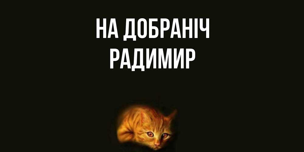 Открытка на каждый день з підписом, Радимир На добраніч кот Прикольна листівка з побажанням онлайн скачати безкоштовно 