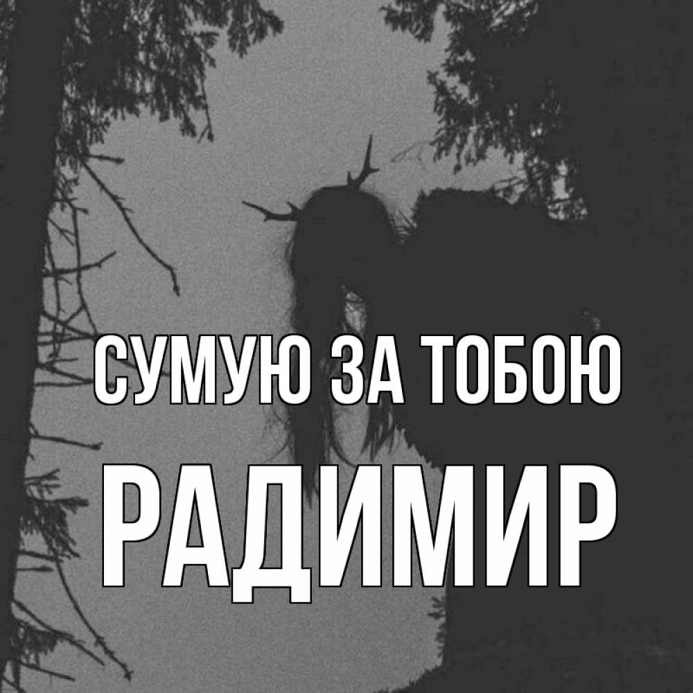 Открытка на каждый день з підписом, Радимир Сумую за тобою пугаю Прикольна листівка з побажанням онлайн скачати безкоштовно 
