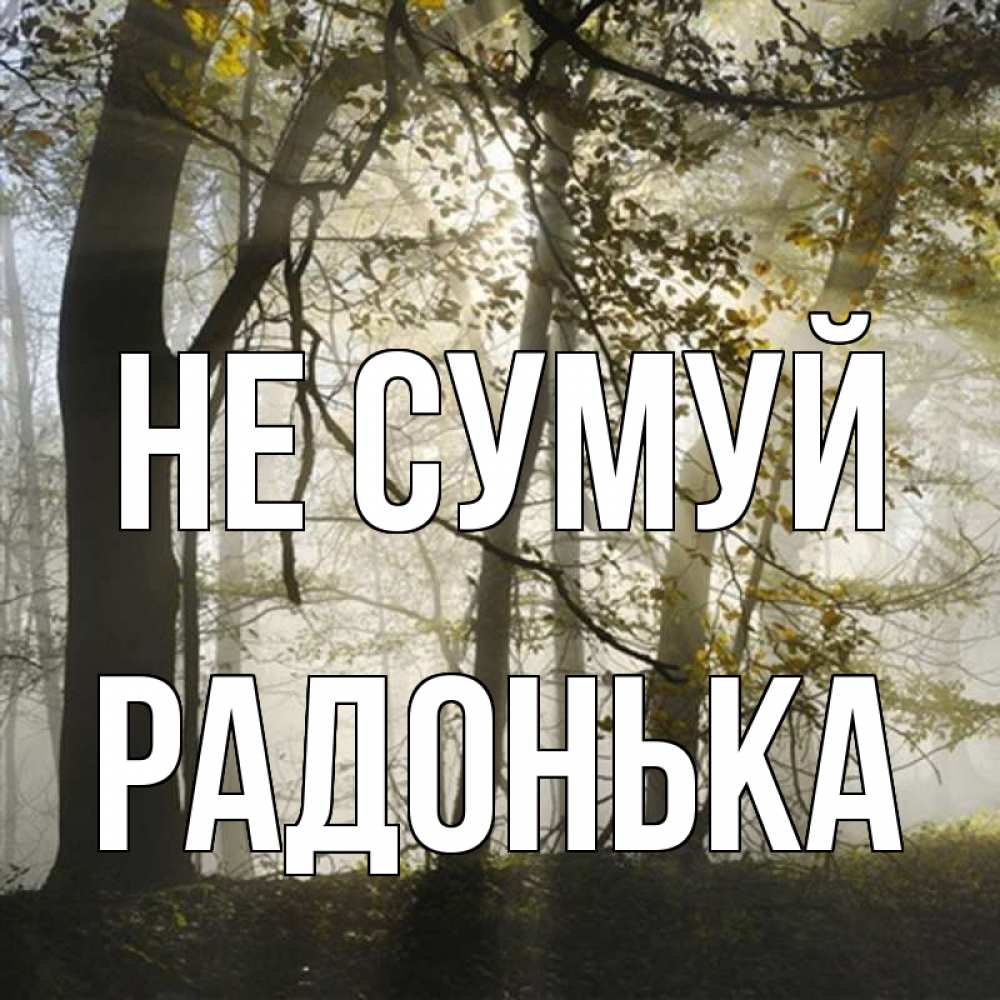 Открытка на каждый день з підписом, Радонька Не сумуй лес и свет Прикольна листівка з побажанням онлайн скачати безкоштовно 