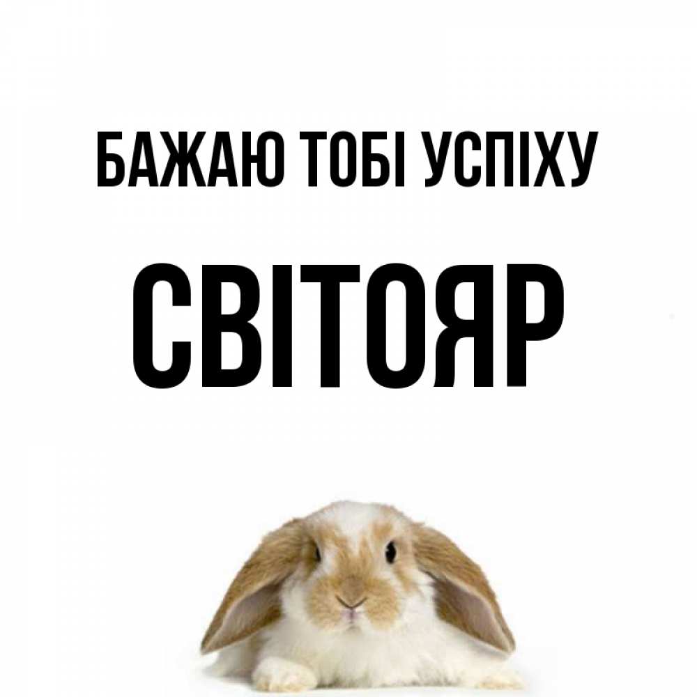 Открытка на каждый день з підписом, Світояр Бажаю тобі успіху открытки с произвольным текстом который можно вставить в открытку и создать ее самостоятельно бесплатно онлайн Прикольна листівка з побажанням онлайн скачати безкоштовно 