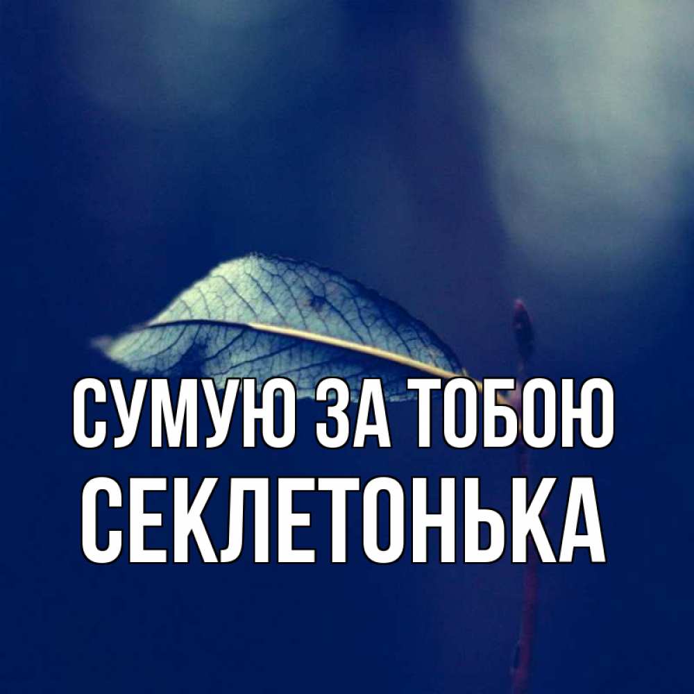 Открытка на каждый день з підписом, Секлетонька Сумую за тобою одна ветка 1 Прикольна листівка з побажанням онлайн скачати безкоштовно 