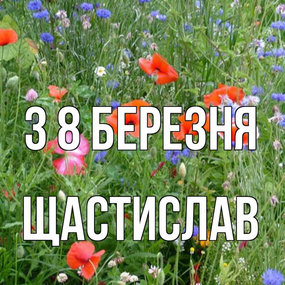 Открытка на каждый день з підписом, Щастислав З 8 БЕРЕЗНЯ международный женский день 4 Прикольна листівка з побажанням онлайн скачати безкоштовно 