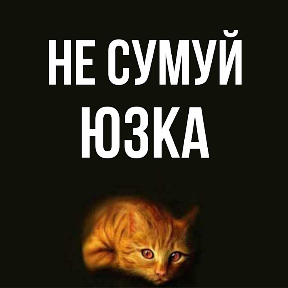 Открытка на каждый день з підписом, Юзка Не сумуй лежащий кот в темноте Прикольна листівка з побажанням онлайн скачати безкоштовно 