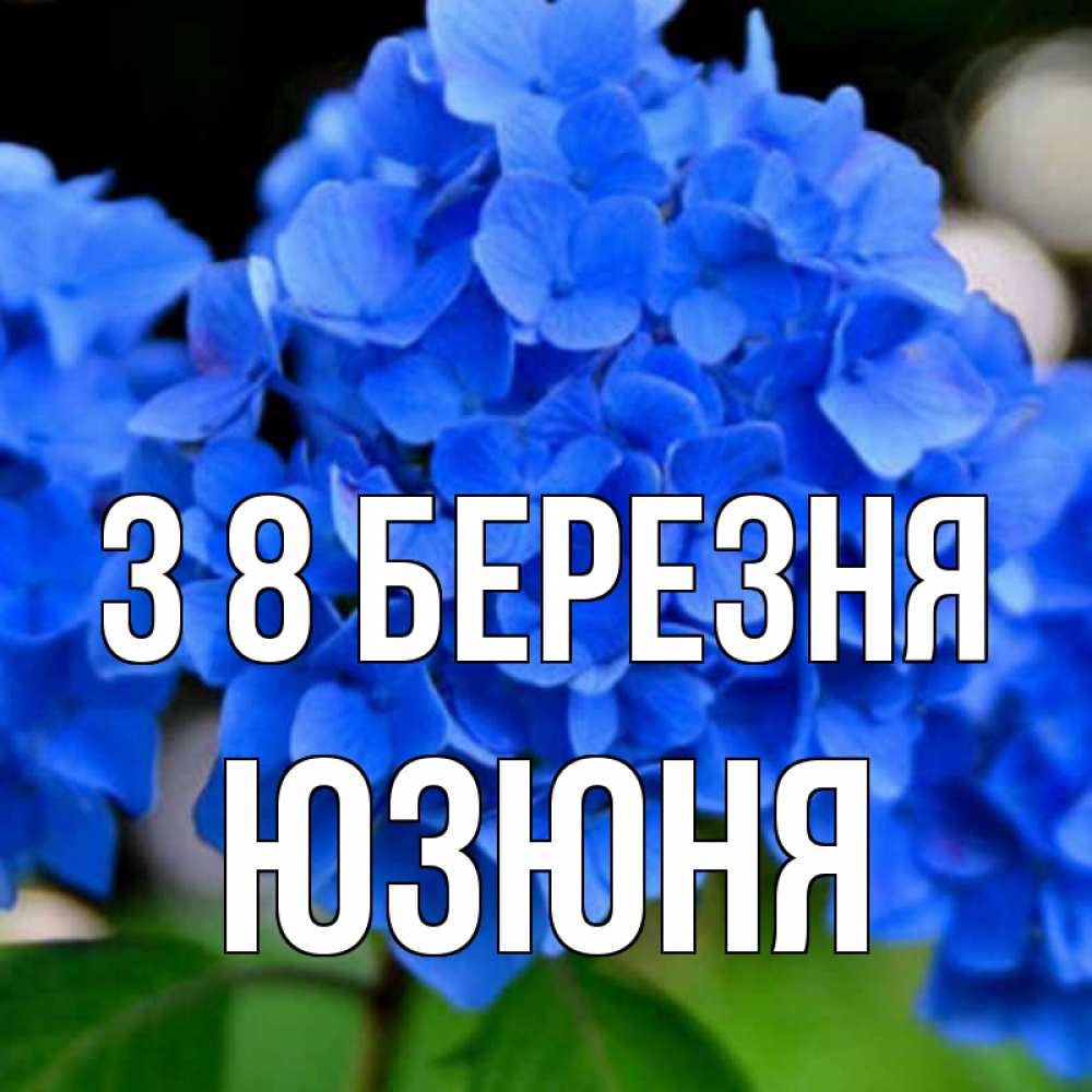 Открытка на каждый день з підписом, Юзюня З 8 БЕРЕЗНЯ синие цветы Прикольна листівка з побажанням онлайн скачати безкоштовно 