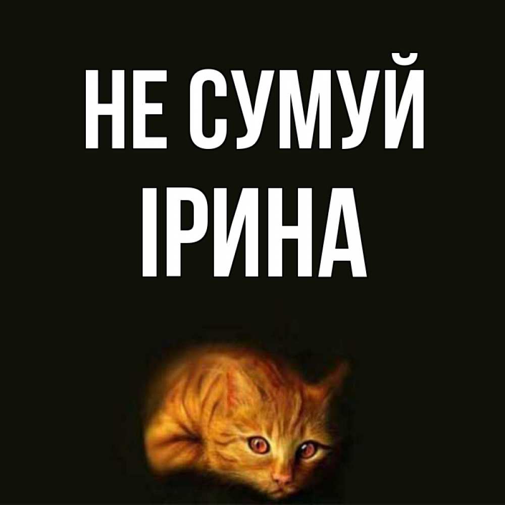 Открытка на каждый день з підписом, Ірина Не сумуй лежащий кот в темноте Прикольна листівка з побажанням онлайн скачати безкоштовно 