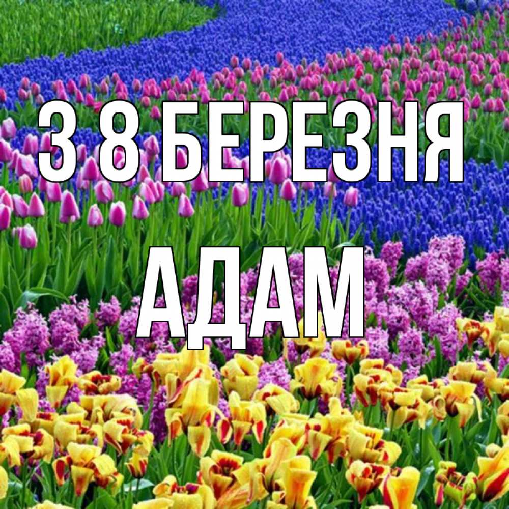 Открытка на каждый день з підписом, Адам З 8 БЕРЕЗНЯ цветы Прикольна листівка з побажанням онлайн скачати безкоштовно 