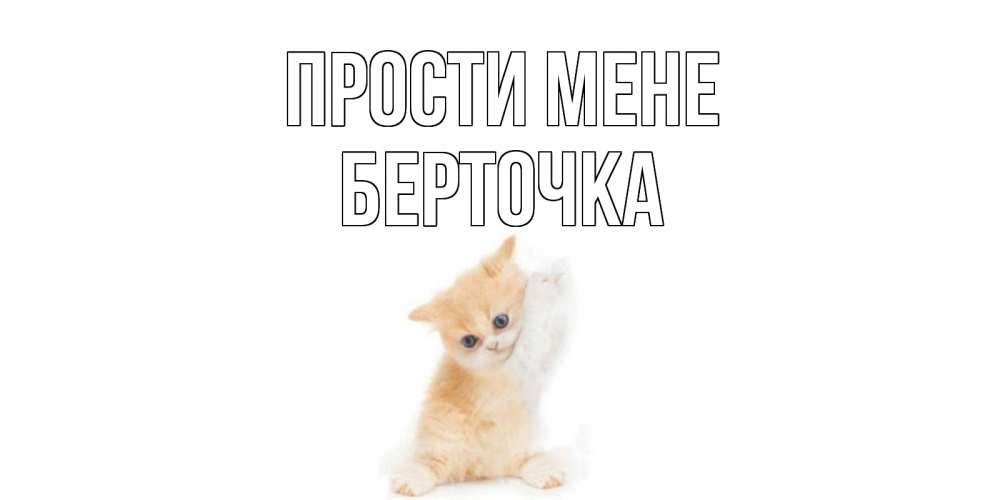 Открытка на каждый день з підписом, Берточка Прости мене кот Прикольна листівка з побажанням онлайн скачати безкоштовно 