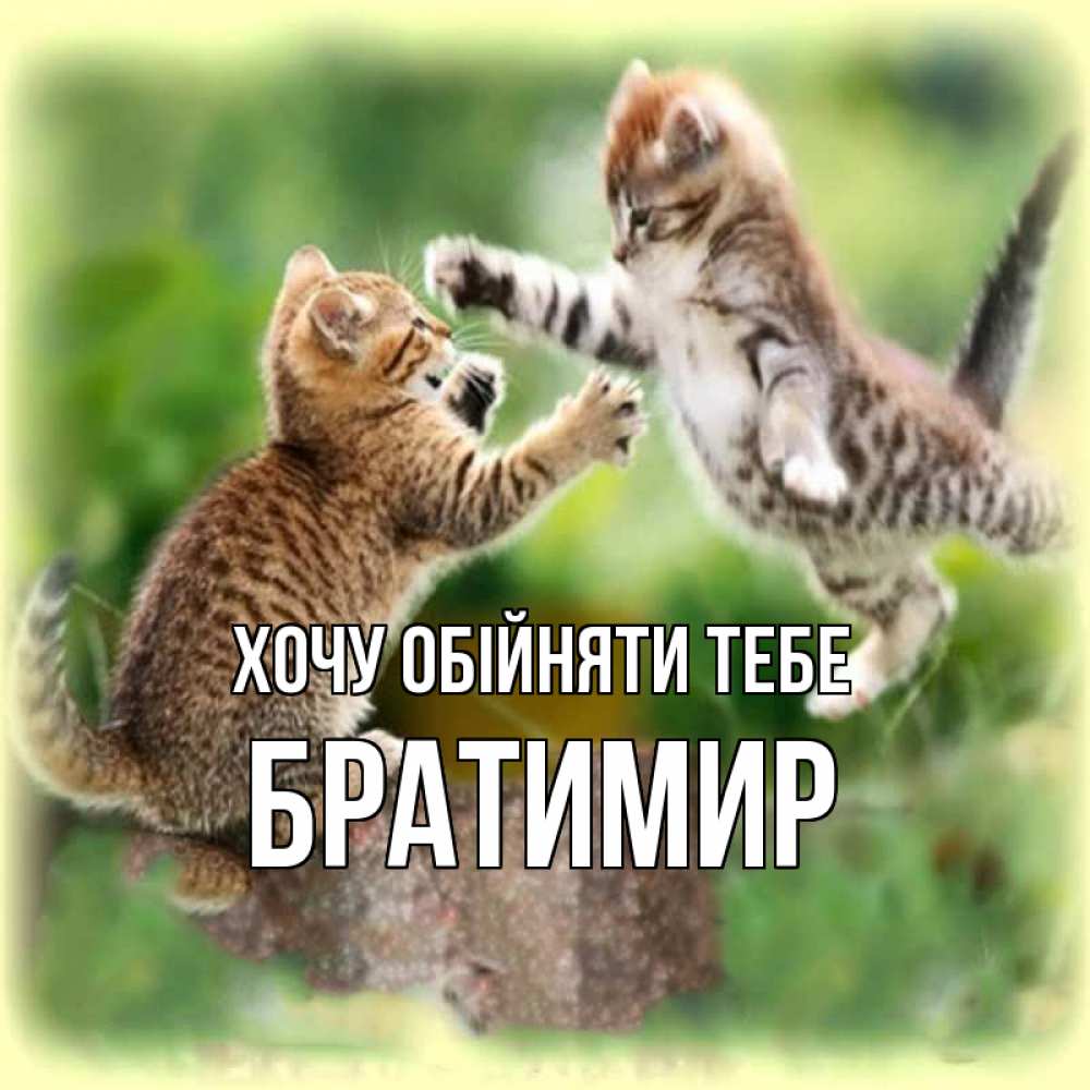 Открытка на каждый день з підписом, Братимир Хочу обійняти тебе игры котят Прикольна листівка з побажанням онлайн скачати безкоштовно 