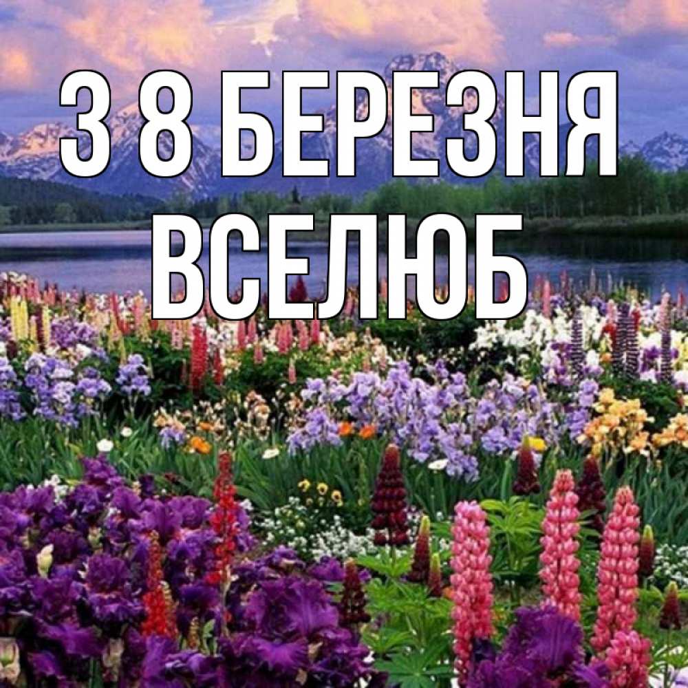Открытка на каждый день з підписом, Вселюб З 8 БЕРЕЗНЯ международный женский день Прикольна листівка з побажанням онлайн скачати безкоштовно 