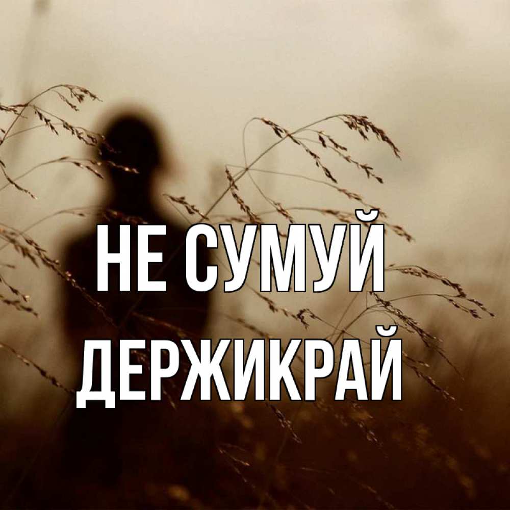 Открытка на каждый день з підписом, Держикрай Не сумуй грусть Прикольна листівка з побажанням онлайн скачати безкоштовно 