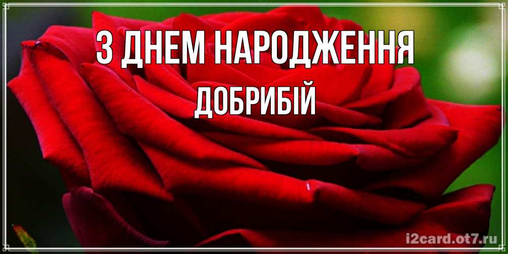 Открытка на каждый день з підписом, Добрибій З Днем народження розочка очень красивая Прикольна листівка з побажанням онлайн скачати безкоштовно 