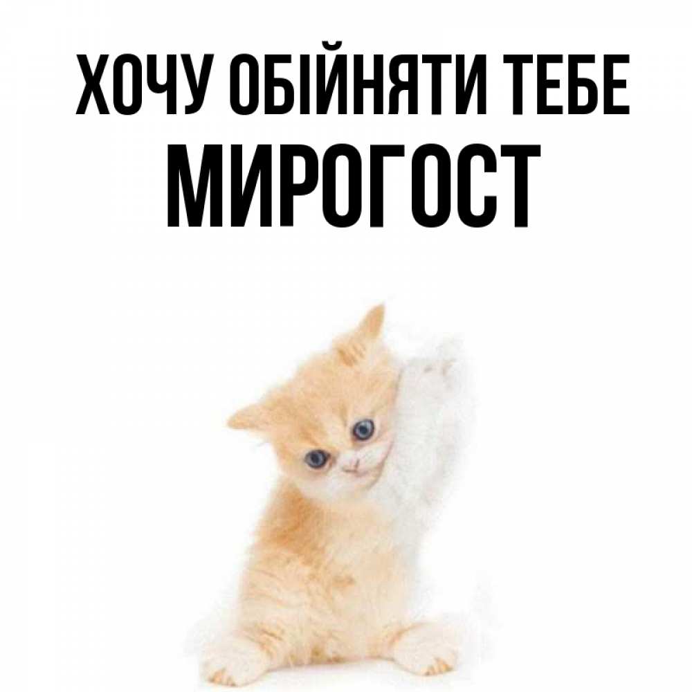 Открытка на каждый день з підписом, Мирогост Хочу обійняти тебе я хочу очень скорее обнимаешек Прикольна листівка з побажанням онлайн скачати безкоштовно 