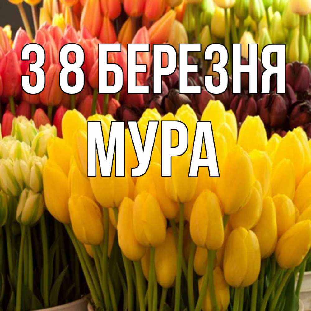 Открытка на каждый день з підписом, Мура З 8 БЕРЕЗНЯ цветы Прикольна листівка з побажанням онлайн скачати безкоштовно 