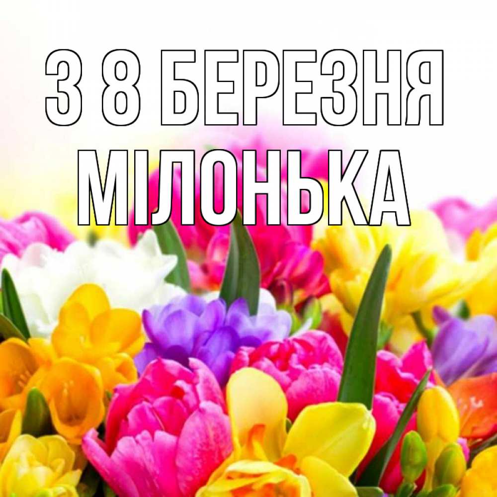 Открытка на каждый день з підписом, Мілонька З 8 БЕРЕЗНЯ тюльпаны Прикольна листівка з побажанням онлайн скачати безкоштовно 