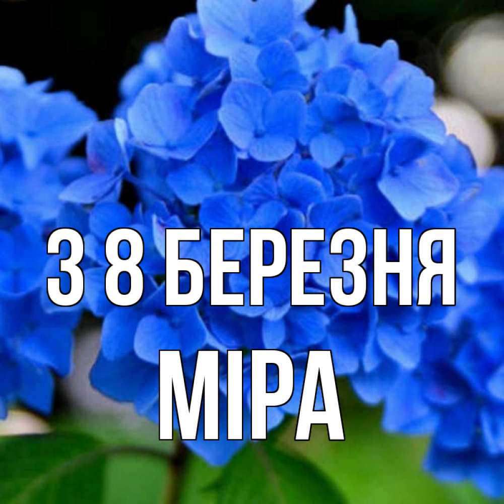 Открытка на каждый день з підписом, Міра З 8 БЕРЕЗНЯ синие цветы Прикольна листівка з побажанням онлайн скачати безкоштовно 