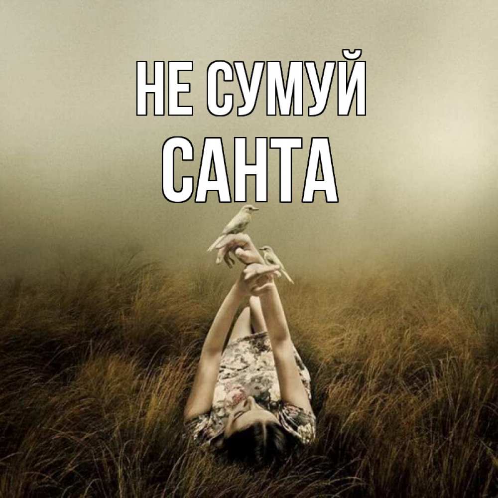 Открытка на каждый день з підписом, Санта Не сумуй поле и туман Прикольна листівка з побажанням онлайн скачати безкоштовно 