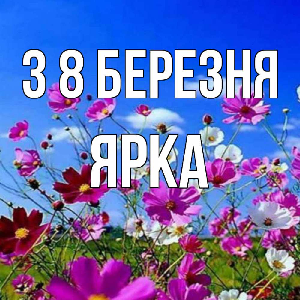 Открытка на каждый день з підписом, Ярка З 8 БЕРЕЗНЯ цветы Прикольна листівка з побажанням онлайн скачати безкоштовно 