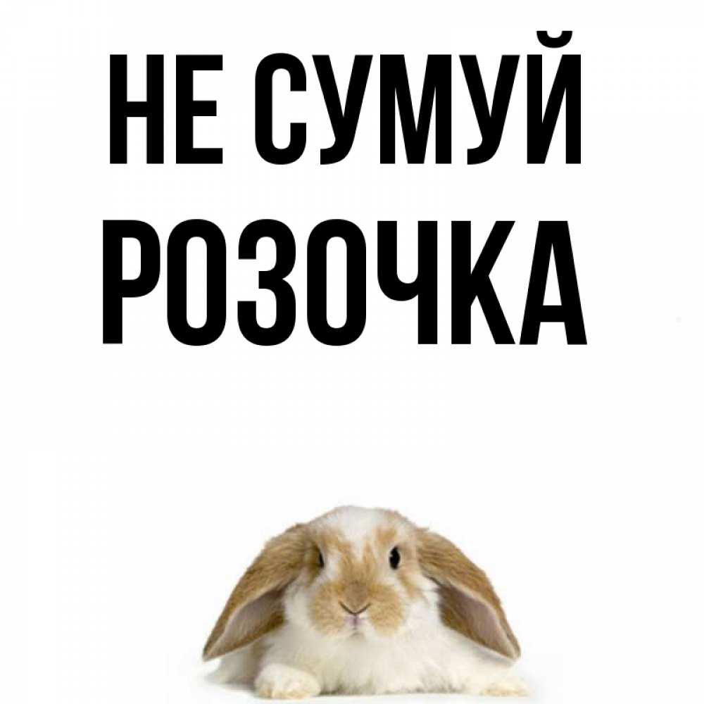 Открытка на каждый день з підписом, Розочка Не сумуй коричнево белый заяц с большими ушками Прикольна листівка з побажанням онлайн скачати безкоштовно 