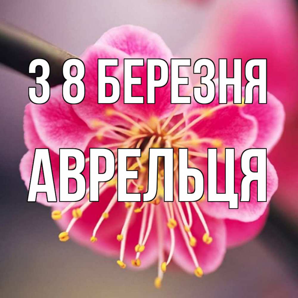 Открытка на каждый день з підписом, Аврельця З 8 БЕРЕЗНЯ цветы Прикольна листівка з побажанням онлайн скачати безкоштовно 
