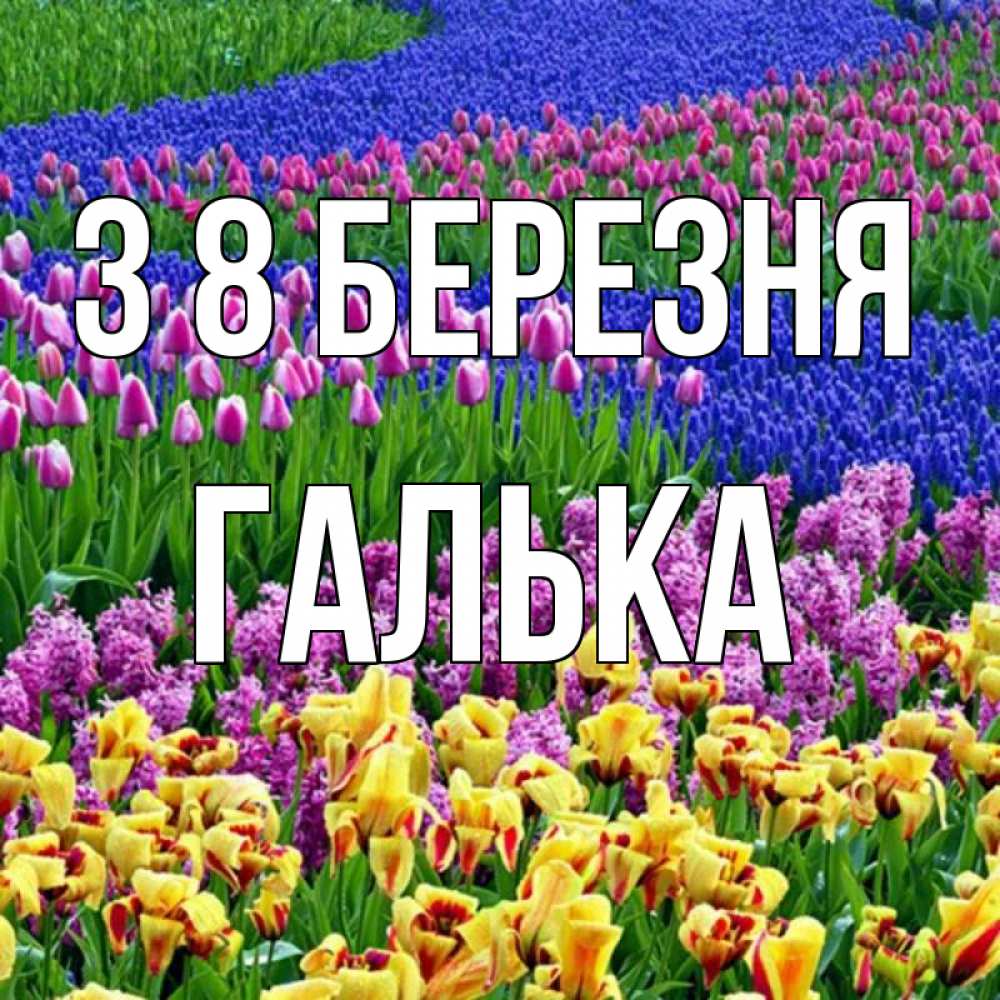 Открытка на каждый день з підписом, Галька З 8 БЕРЕЗНЯ цветы Прикольна листівка з побажанням онлайн скачати безкоштовно 