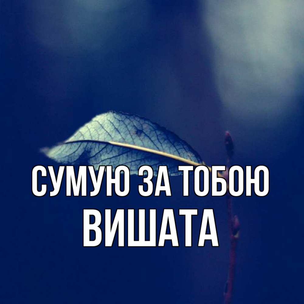 Открытка на каждый день з підписом, Вишата Сумую за тобою одна ветка 1 Прикольна листівка з побажанням онлайн скачати безкоштовно 