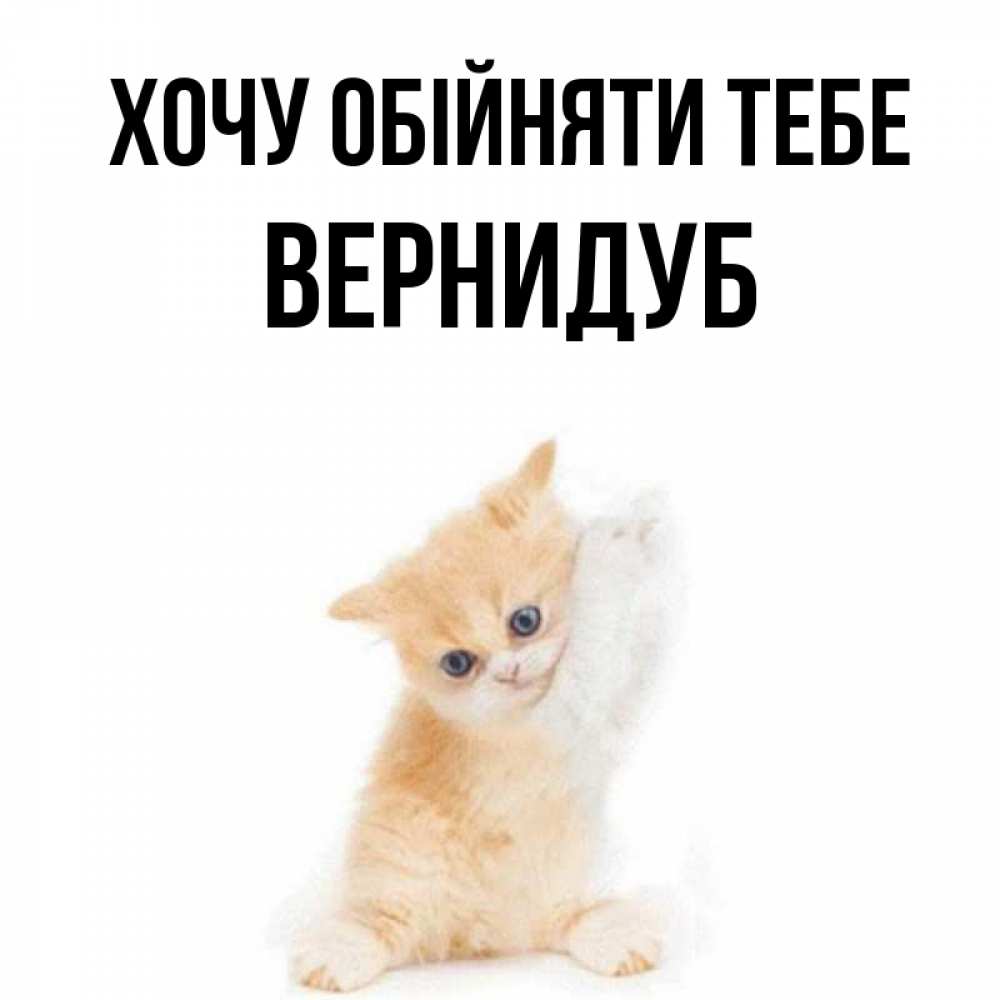 Открытка на каждый день з підписом, Вернидуб Хочу обійняти тебе я хочу очень скорее обнимаешек Прикольна листівка з побажанням онлайн скачати безкоштовно 